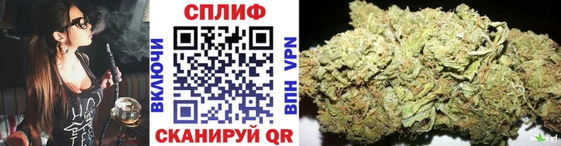 Магазины продажи наркотиков Бийск гидра ONION  ГАШ  COCAIN 