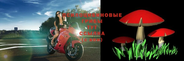 ешки Абдулино