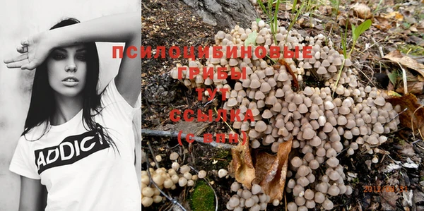 твердый Абинск
