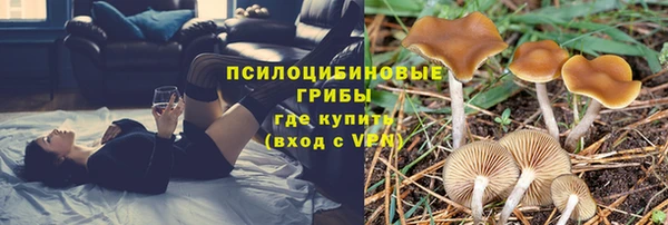 твердый Абинск