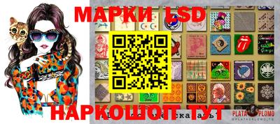 шишки Аргун