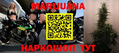 шишки Аргун