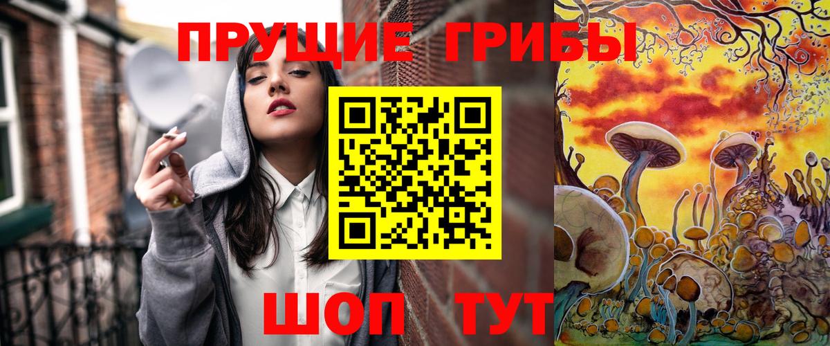 Бийск  Галлюциногенные грибы Psilocybe  Вход с VPN 