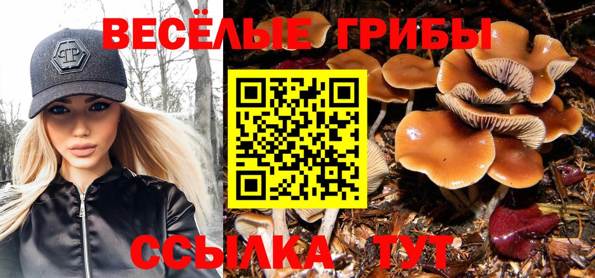 Псилоцибиновые грибы ЛСД Бийск